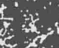 图3-3《新中国出土墓志•重庆卷》中《牟永叔墓志》拓本及“勾龍試”与“試”字局部