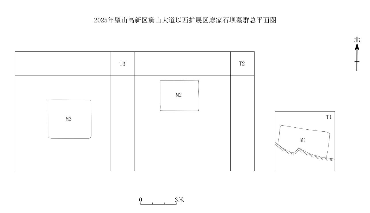 图二 遗迹总平面图