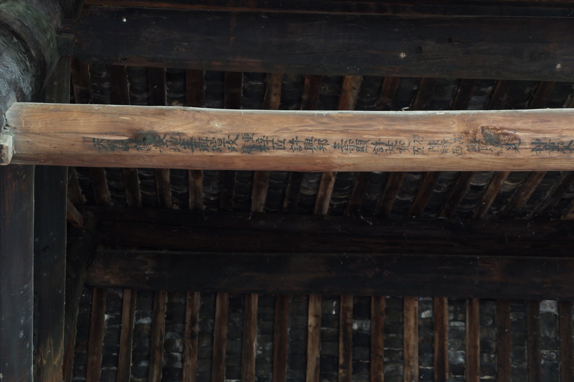 图片二十一 题记照片