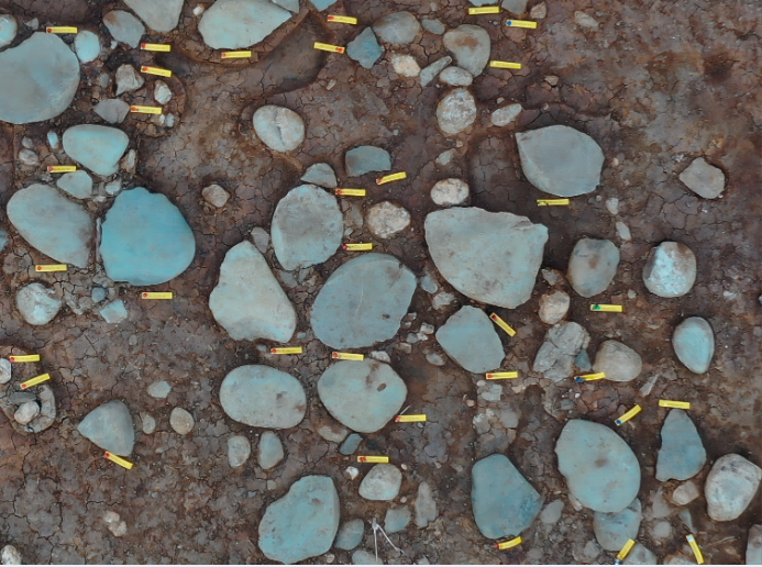 四川省射洪市桃花河遗址