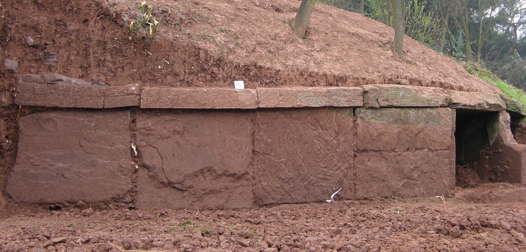 13.图一三  2009DZKM1近景