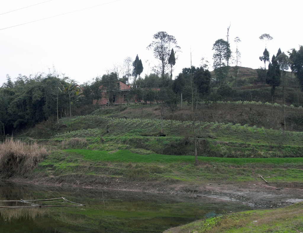 12.图一二  垮坟山墓地远景