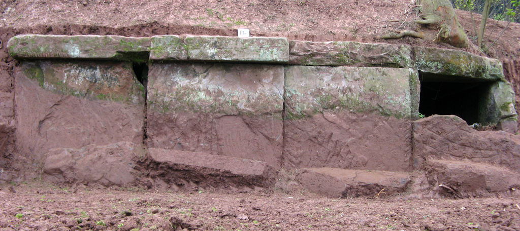 15.图一五 2009DZKM2近景