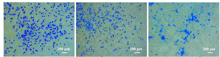 研究中采用的三种不同粒径石青颜料样品，图片来源：马啸教授讲座PPT