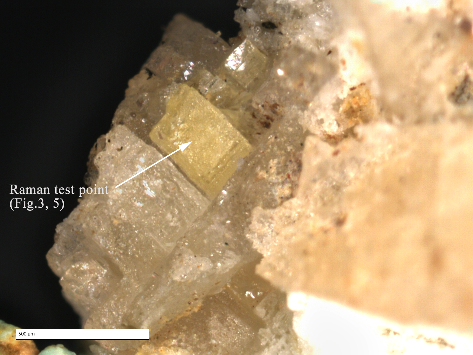 7 8 WD-2-09-CBS  Ba形貌 (2)