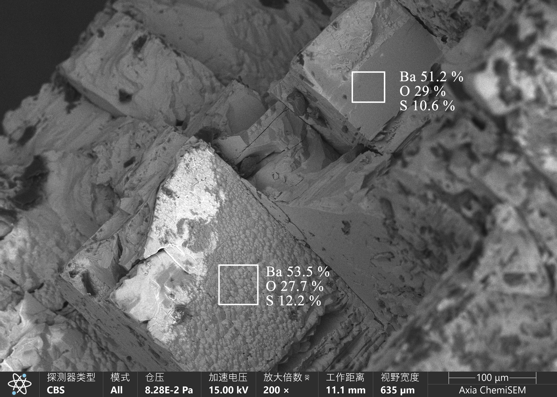 7 8 WD-2-09-CBS  Ba形貌 (1)