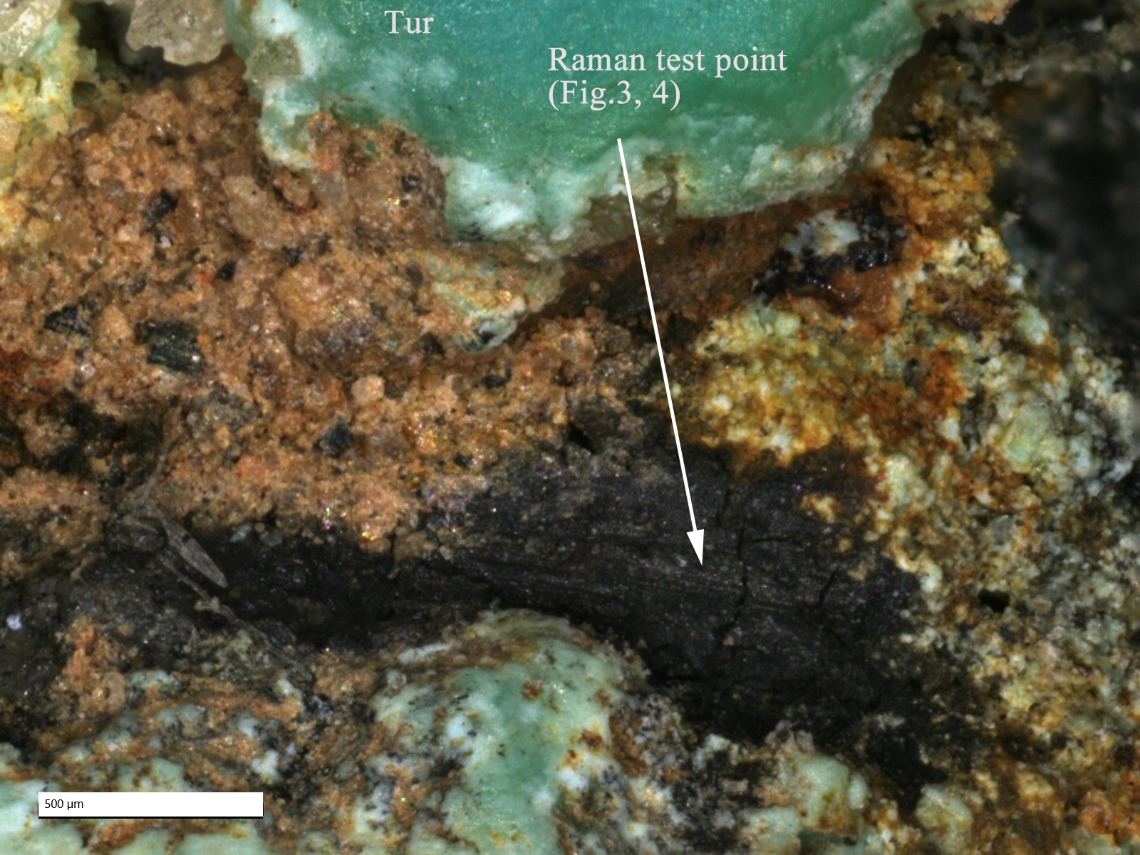 3 4 WD-1-08  12黄褐色13黑色 (2)