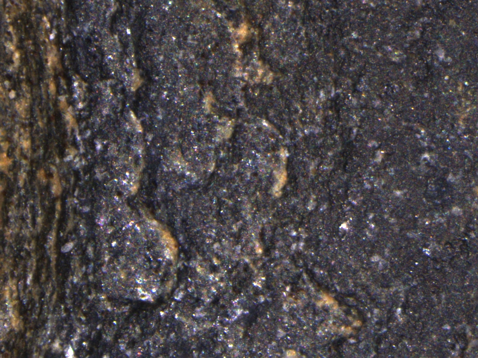 13 14 WD-5 1 黑色伴生矿 (2)