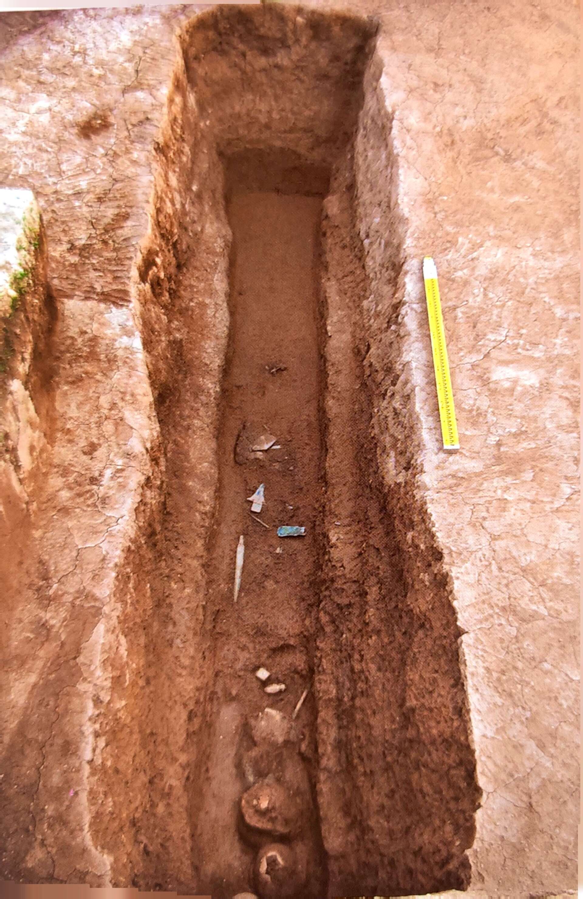 宣汉罗家坝遗址M46