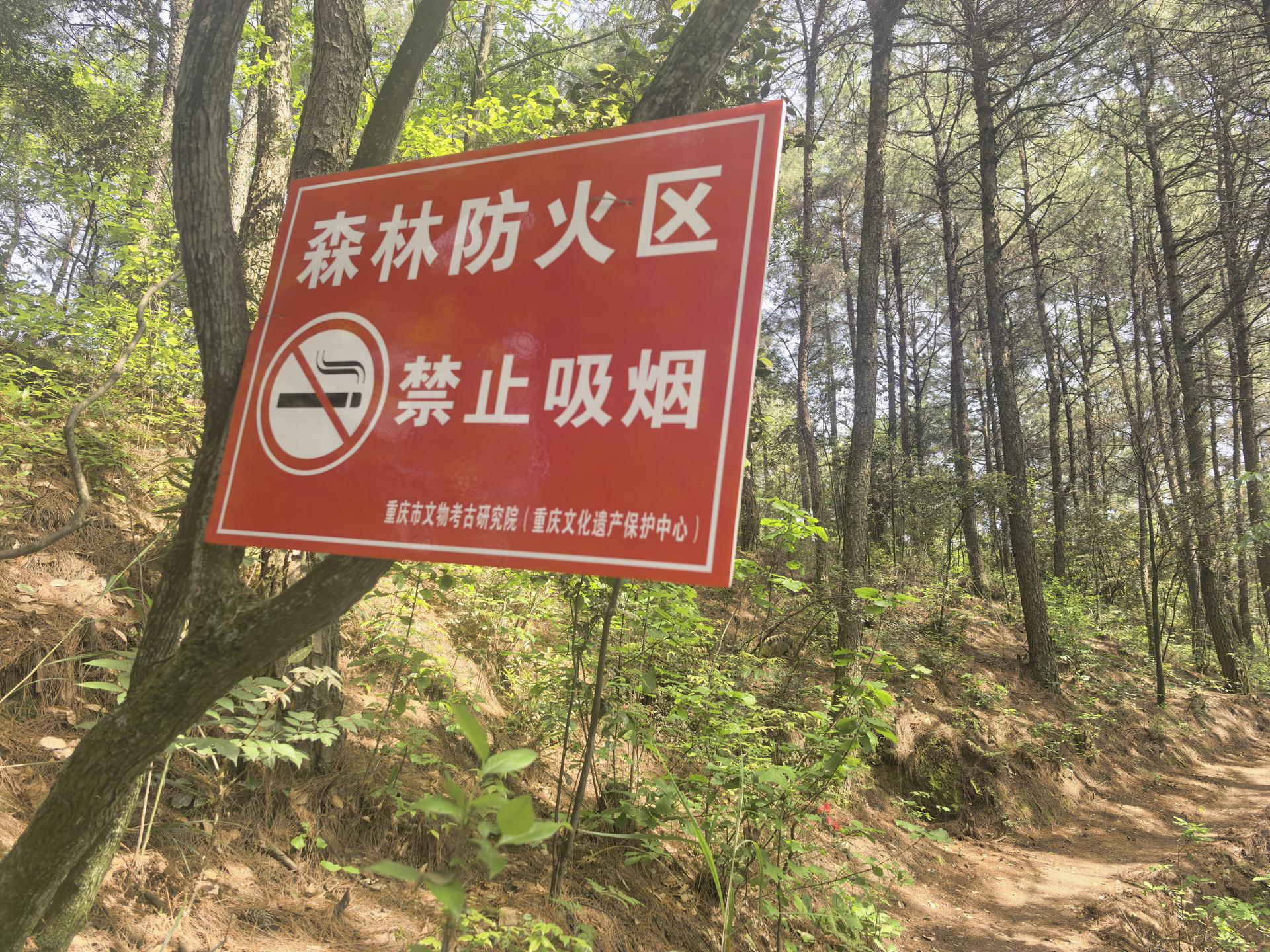 微信图片_20260508140642_704_111